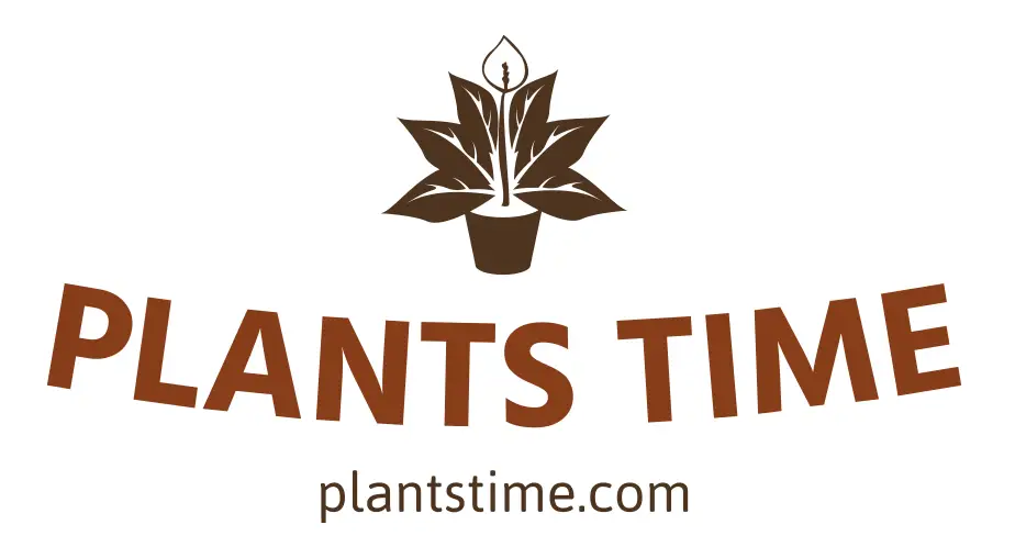 plantstime.com